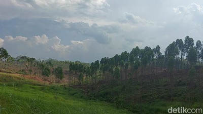 Lokasi Istana Presiden di IKN yang Mulai Dibangun Akhir Januari