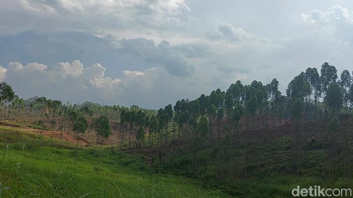 Lokasi yang akan dibangun Istana Presiden IKN Lokasi yang akan dibangun Istana Presiden IKN