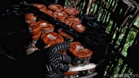 Sejumlah pekerja membuat kue keranjang di Desa Karangasih, Cikarang Utara, Kabupaten Bekasi, Jawa Barat, Jumat (13/1/2023).