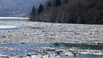 Kotor! Tumpukan Sampah Padati Danau di Serbia
