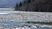 Beragam macam sampah terlihat memadati Danau Potpec di Priboj, Serbia.  