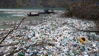 Sampah-sampah tersebut kebanyakan adalah botol plastik dan sterofoam.