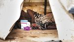 Potret Pasien Kolera yang Diisolasi di Malawi