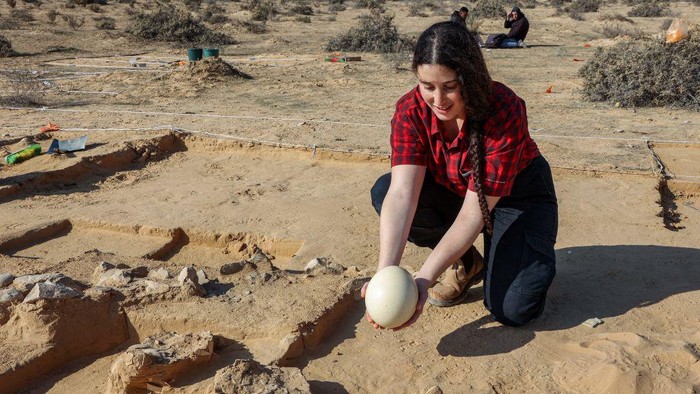 An excavator at the Israel Antiquities Authority (IAA) shows a fresh ostrich egg used for illustration next to older egg fragments dating over 4000 years old next to an ancient fire pit at a site in the dunes near Nitzana along the Israel-Egypt border in the western Negev desert on January 12, 2023. - Experts say the finds provide insight into the life of the ancient peoples inhabiting the region. The eight crushed eggs were located at a camp site used by nomads 