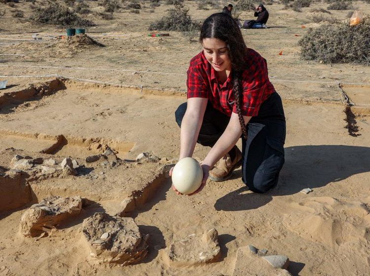 Potret Penemuan Telur Berusia 4.000 Tahun di Perbatasan Israel-Mesir