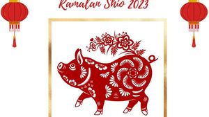 Ramalan Shio Babi 2023: Hindari Ceroboh, Ada Peluang Bertemu Jodoh