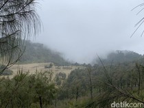 Pendakian Gunung Butak: Jalur, Daya Tarik, Tiket Masuk, dan Waktu Tempuh
