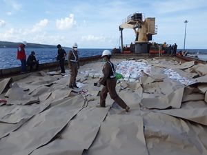 Balai Karantina Kupang Pastikan Beras Impor Asal Vietnam Layak Dikonsumsi