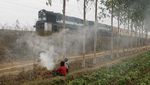Sepekan Mencekam Gelombang Dingin di India