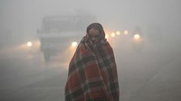 Gelombang dingin juga menyebabkan masalah kesehatan yang serius, terutama di Delhi yang juga mengalami tingkat polusi yang parah selama musim dingin. (Sanchit Khanna/Getty Images)  