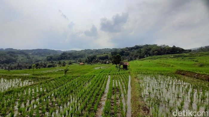 Suasana Desa Ciuyah Sumedang.