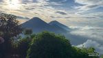 Satu Lagi yang Indah-indah dari Wonosobo: Gunung Bismo