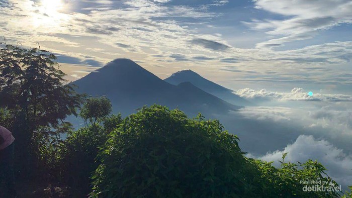 picture by dedharya immanuella