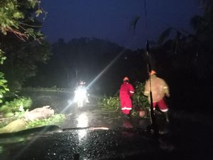 Pohon Enau Tumbang Akibat Hujan Angin di Selat, Jalan Provinsi Tersendat