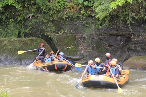 Untuk yang Berani Saja! Uji Adrenalin Main Rafting di Sungai Elo Magelang