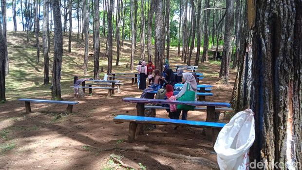 Wisata Gunung Pabeas Cianjur.