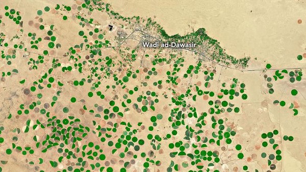 Titik-titik hijau ini semakin menyebar. Gunung-gunung tandus di Kota Makkah mulai hijau dan rerumputan juga muncul. (Climate Extreme via ArabiaWeather)