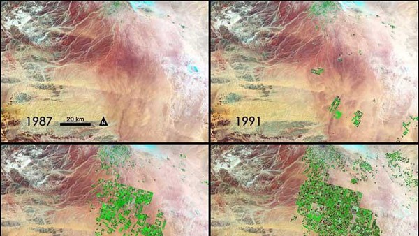 Dilihat citra satelit terlihat perubahan yang cukup jelas. Tahun tahun 1987, 1991, 2000 dan 2012 sudah muncul tanda penghijauan di area tandus. (Climate Extreme via ArabiaWeather)