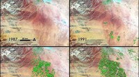 Dilihat citra satelit terlihat perubahan yang cukup jelas. Tahun tahun 1987, 1991, 2000 dan 2012 sudah muncul tanda penghijauan di area tandus. (Climate Extreme via ArabiaWeather)