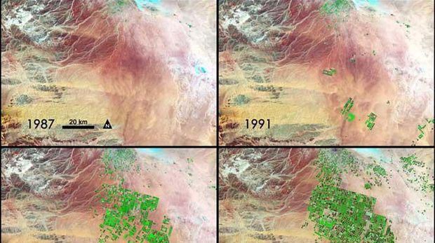 Foto citra satelit Arab Saudi menghijau