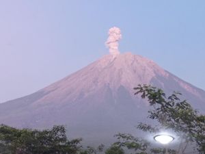 Gunung Semeru Kembali Erupsi, Tinggi Letusan 700 Meter dari Puncak