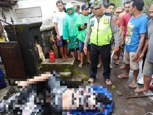 Sopir Truk ABG Tewaskan Ibu Muda di Karangasem Tak Ditahan