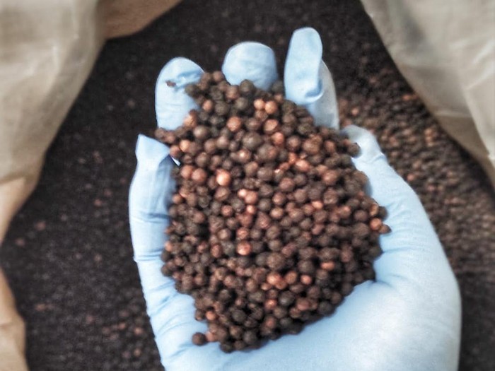 manfaat lada hitam untuk kesehatan