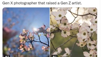 Milenial (kiri) Vs Gen Z (kanan), oke mana? Foto: Twitter