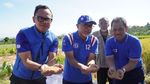 Momen Panen Padi Pertama 2023 di Mulyaharja Bogor