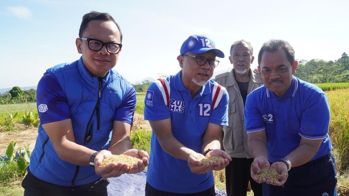 Momen Panen Padi Pertama 2023 di Mulyaharja Bogor Menteri Perdagangan Zulhas melakukan panen padi perdana tahun 2023 di sawah agro wisata organis Mulyaharja, Bogor Selatan, Kota Bogor.