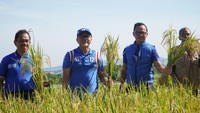 Untuk itu lanjut Zulhas, pemerintah telah menetapkan batas terakhir ekspor beras adalah Maret.