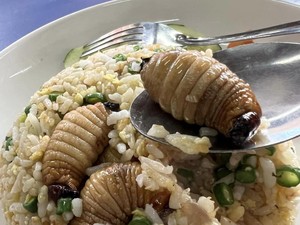 Mau Cicip? Restoran Ini Punya Nasi Goreng Ulat Sagu Rp 55 Ribu