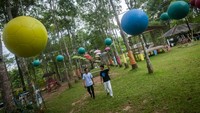 Begini suasana wisata alam kebun karet di Cimarga, Lebak, Banten, Sabtu (14/1/2023).