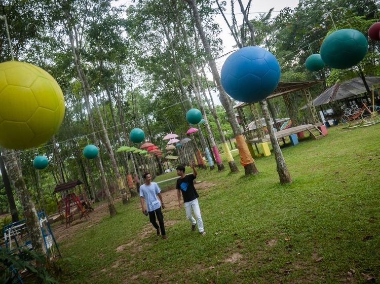 Pengembangan Kebun Karet Menjadi Wisata di Lebak Banten