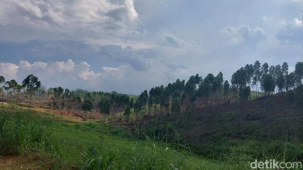 Progres Pembangunan Infrastruktur di IKN Sudah 15%