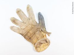 Karya Luar Biasa Jawara Kontes Foto Hewan Liar, Bikin Terkesima