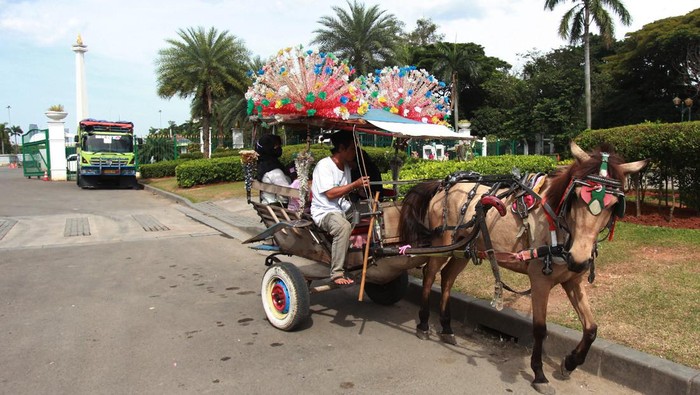 Pengunjung menaiki salah satu delman wisata di kawasan Monumen Nasional (Monas), Jakarta, Minggu (15/1/2023). Penjabat Gubernur DKI Jakarta Heru Budi Hartono memastikan delman tidak dilarang digunakan di kawasan Monas namun pengoperasiannya dibatasi pada akhir pekan, yakni Sabtu dan Minggu. ANTARA FOTO/Reno Esnir/nym.
