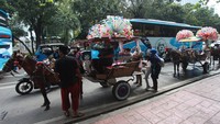 Namun, pengoperasian delman dibatasi pada akhir pekan, yakni Sabtu dan Minggu.