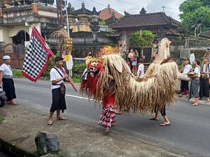 Unik, Ngelawang di Tabanan Pakai Barong dari Daun Pinang Kering
