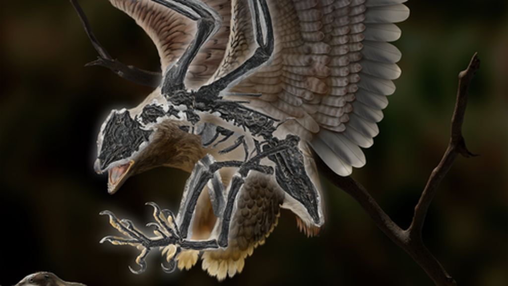 Fosil Burung Purba 120 Juta Tahun di China Punya Tengkorak Mirip T-Rex