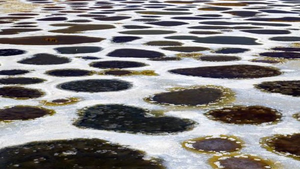Kandungan air danau mempunyai kandungan senyawa magnesium sulfat, kalsium, natrium sulfat, mineral, dan perak yang sangat tinggi.Getty Images/iStockphoto/Nalidsa Sukprasert
