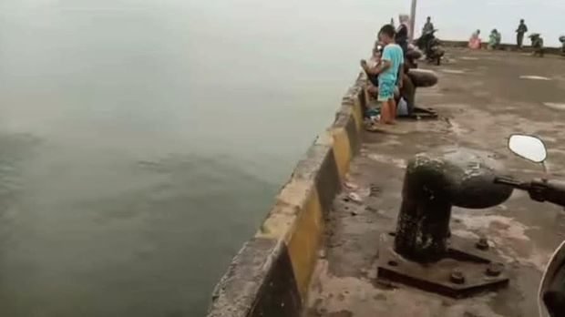 hiu tutul muncul di dermaga panarukan