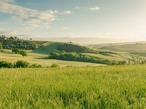 Apa itu Biosfer? Ini Jenjang Kehidupan dan Contoh Perannya