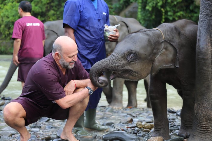Konservasi Gajah di Tangkahan