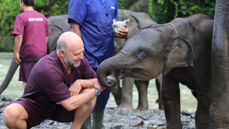Konservasi Gajah di Tangkahan Konservasi Gajah di Tangkahan
