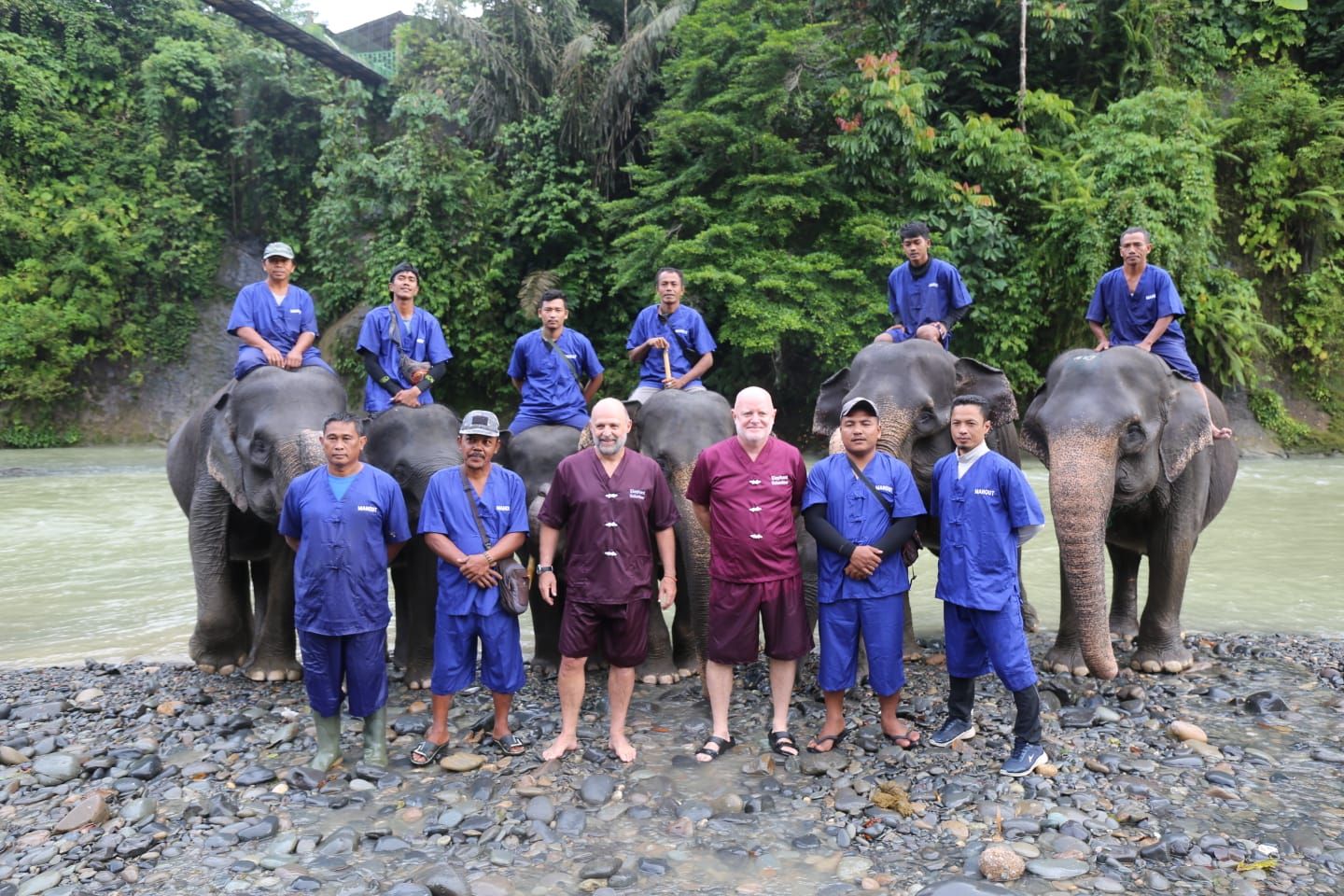 Konservasi Gajah di Tangkahan