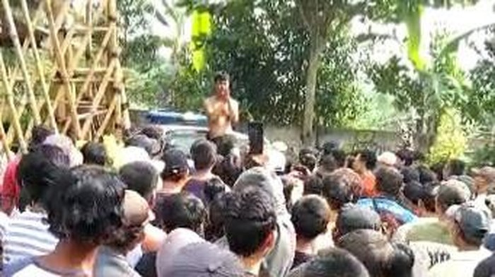 Maling diamuk massa