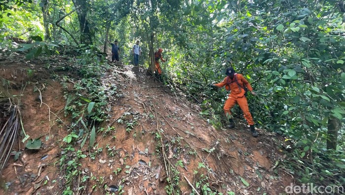 Pencarian terhadap pria yang hilang di hutan Madina dihentikan setelah tujuh hari.