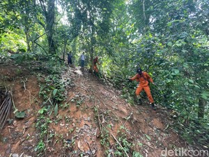 SAR Hentikan Pencarian Pria Hilang Misterius di Hutan Madina
