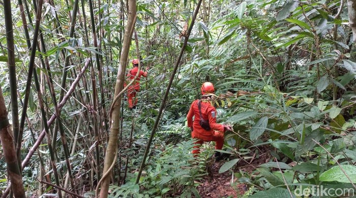 Pencarian terhadap pria yang hilang di hutan Madina dihentikan setelah tujuh hari.